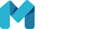 Melin Logo